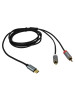 IBKE/C2RTC-6 USB-C TO DUAL RCA MALE 6FT CABLE DE USBC A DOS 1/4 MONO